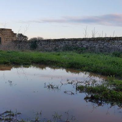 PUGLIA Landscapes
